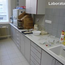 Lab128 2011 46