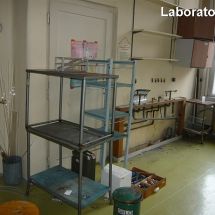 Lab128 2011 10
