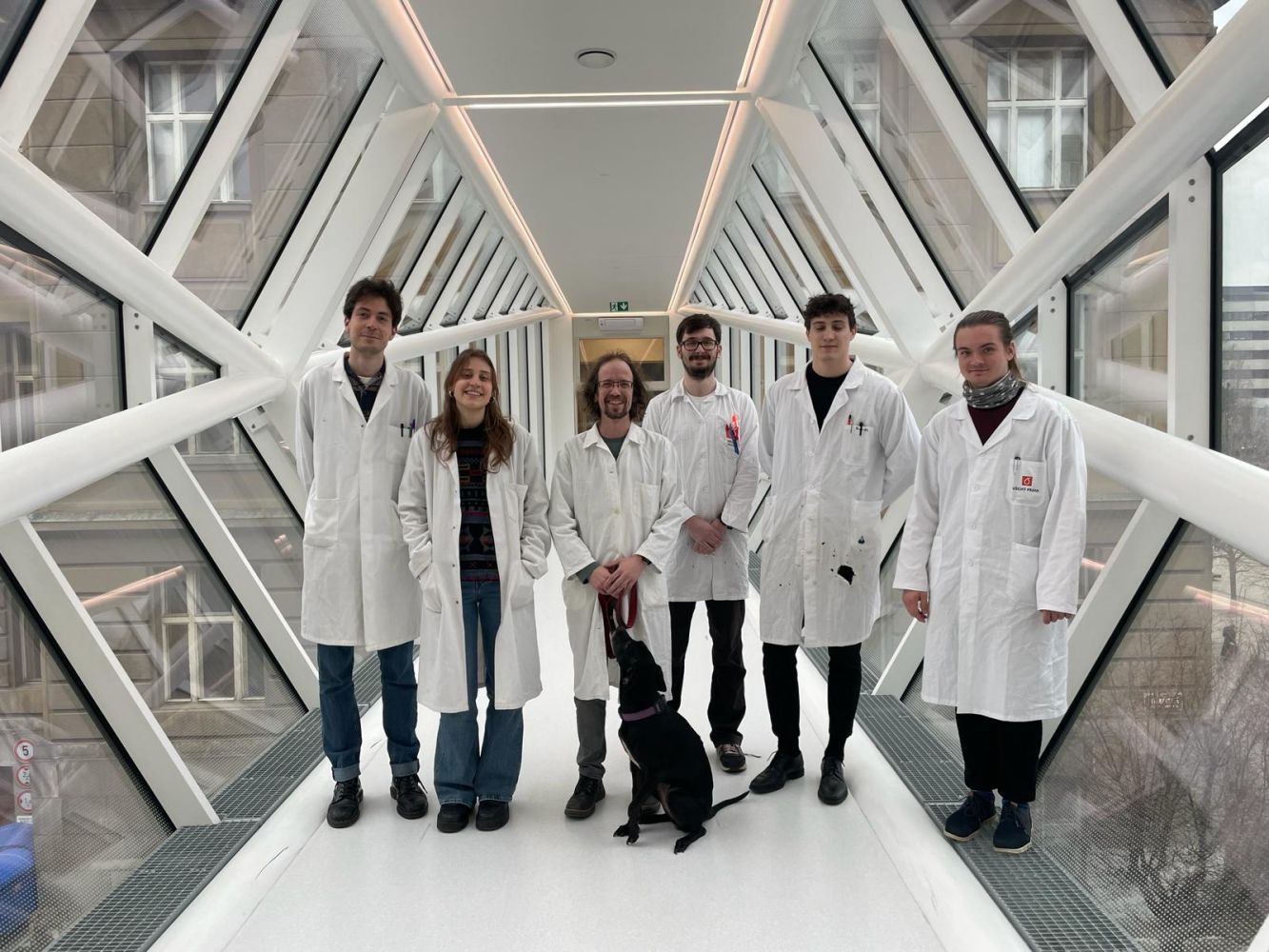  ◳ skupina-hydrogel (jpeg) → (originál)