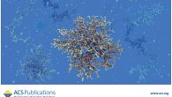 jacsat_v141i039-2_cover2
